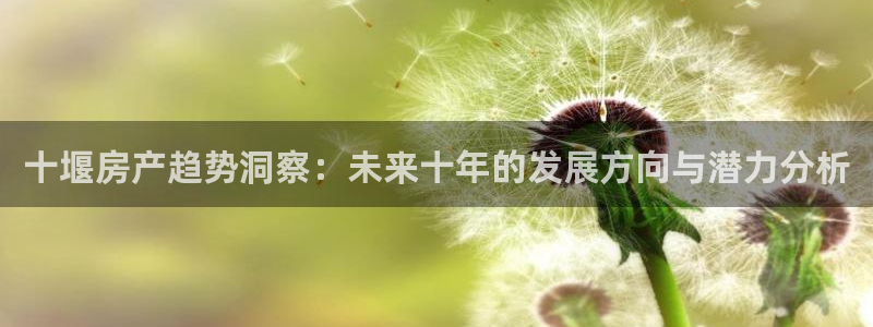 新宝5平棋牌：十堰房产趋势洞察：未来十年的发展方向与潜力分析