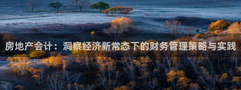 新宝5手机版：房地产会计：洞察经济新常态下的财务管理策略与实