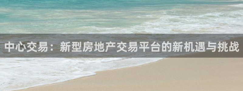 新宝5 888：中心交易：新型房地产交易平台的新机遇与挑战