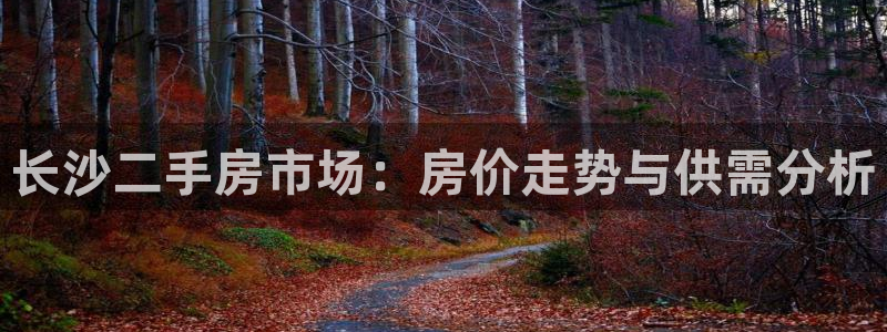 新宝5平台登录注册：长沙二手房市场：房价走势与供需分析