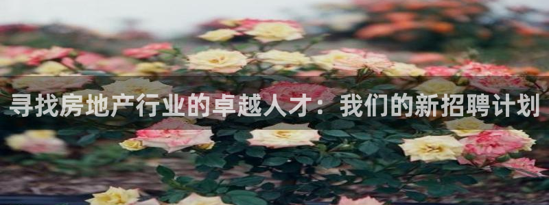 新宝5测试：寻找房地产行业的卓越人才：我们的新招聘计划