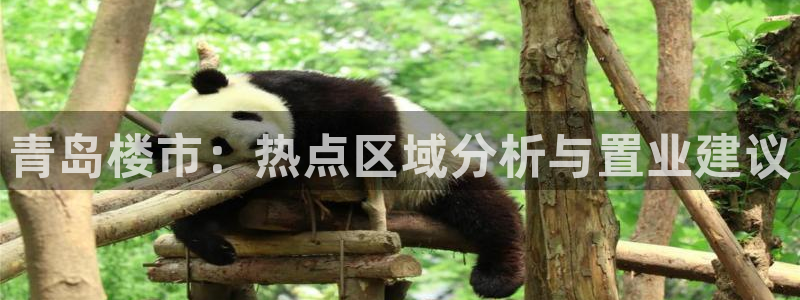 股票5G宝新：青岛楼市：热点区域分析与置业建议