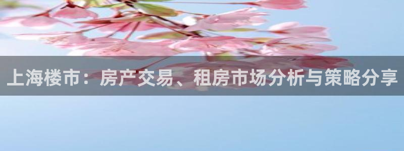 新宝5代理：上海楼市：房产交易、租房市场分析与策略分享