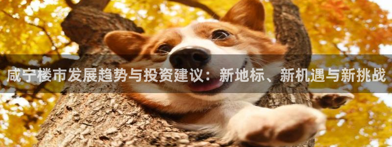 新宝5娱乐都：咸宁楼市发展趋势与投资建议：新地标、新机遇与新