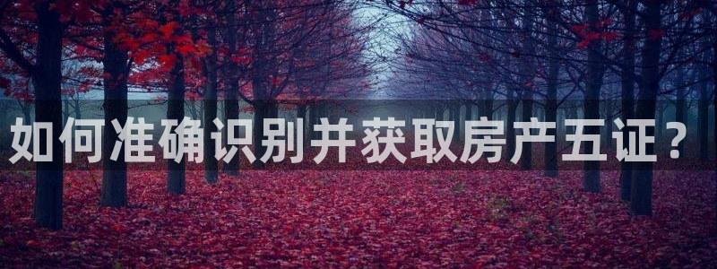 新宝5湫333 00：如何准确识别并获取房产五证？