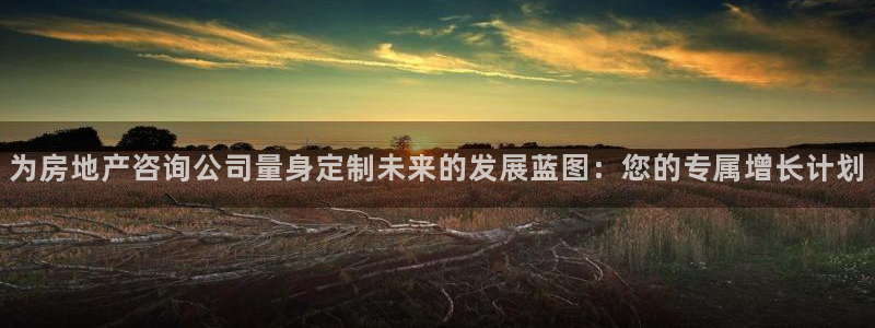 新宝5注册：为房地产咨询公司量身定制未来的发展蓝图：您的专属