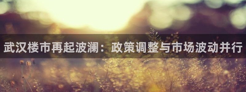 i新宝5：武汉楼市再起波澜：政策调整与市场波动并行