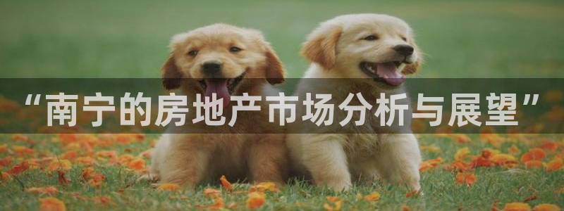 新宝5平台注册：“南宁的房地产市场分析与展望”
