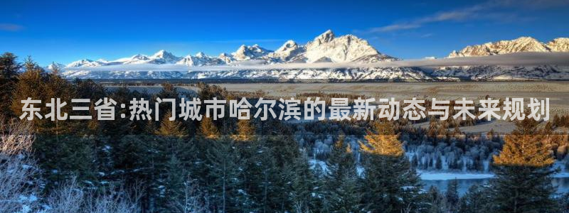 新宝3得74OO5：东北三省:热门城市哈尔滨的最新动态与未来