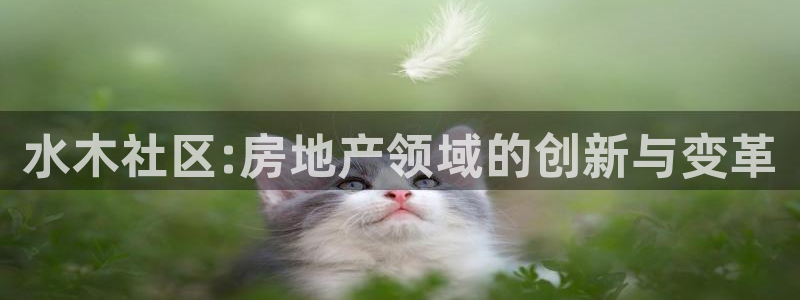 新宝5黑彩：水木社区:房地产领域的创新与变革
