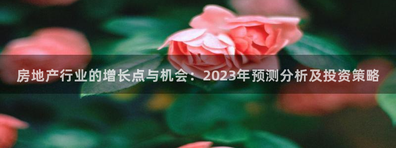 新宝5户端：房地产行业的增长点与机会：2023年预测分析及投