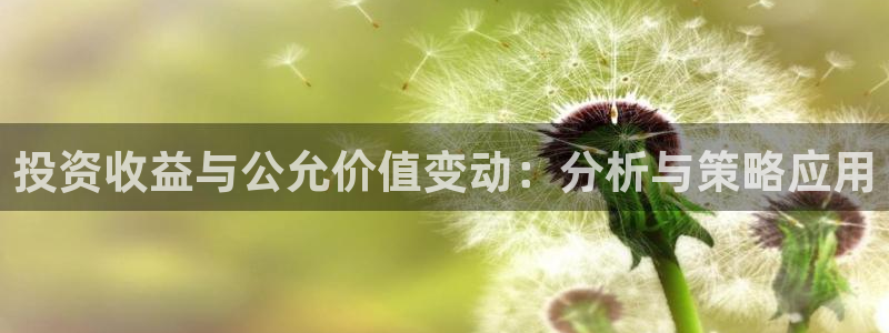 新宝5开户：投资收益与公允价值变动：分析与策略应用