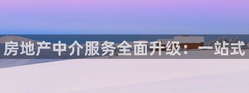 新宝5球维33 300：房地产中介服务全面升级：一站式