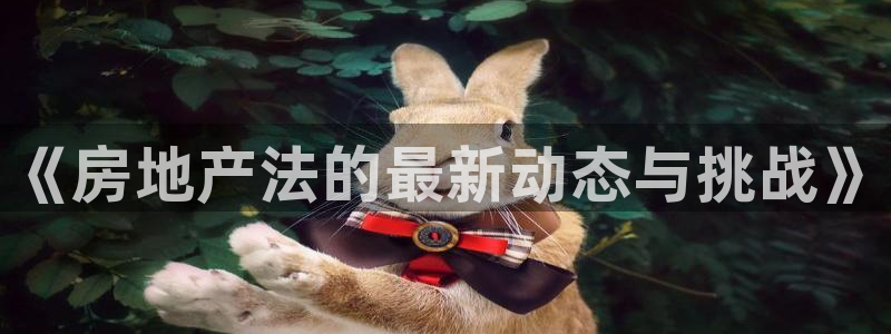 新宝5娱乐：《房地产法的最新动态与挑战》