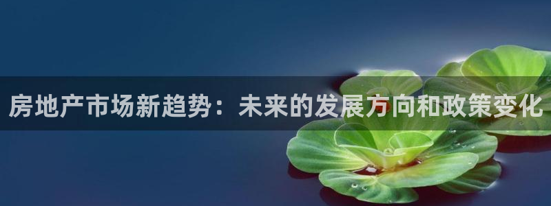 新宝5唯一：房地产市场新趋势：未来的发展方向和政策变化