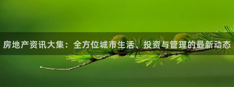 新宝5开好：房地产资讯大集：全方位城市生活、投资与管理的最新