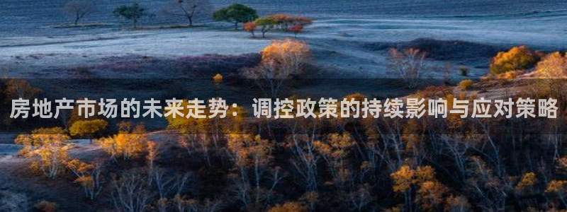 新宝5主管：房地产市场的未来走势：调控政策的持续影响与应对策
