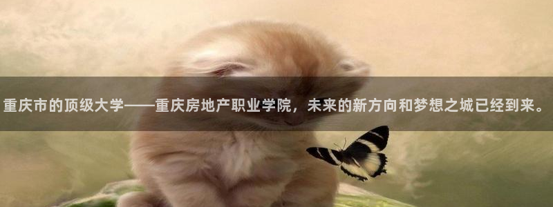 新宝5月：重庆市的顶级大学——重庆房地产职业学院，未来的新方