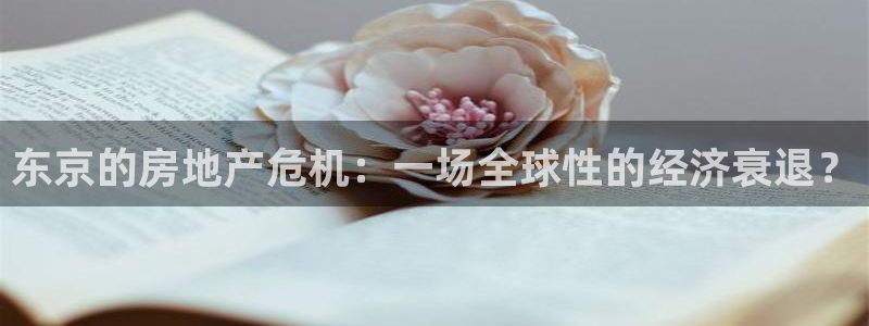 有人知道新宝5么：东京的房地产危机：一场全球性的经济衰退？