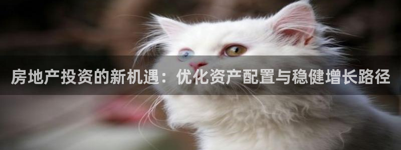 新宝5 唯一：房地产投资的新机遇：优化资产配置与稳健增长路径