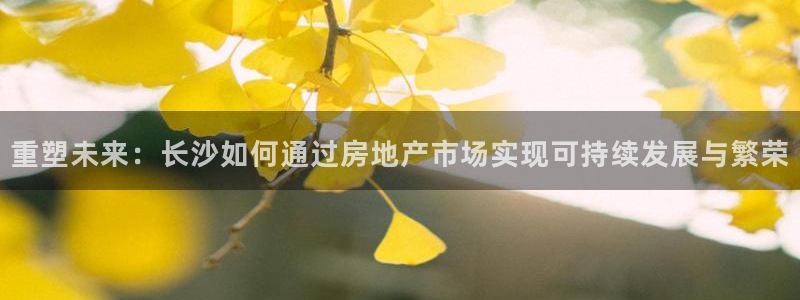 新宝5官网：重塑未来：长沙如何通过房地产市场实现可持续发展与