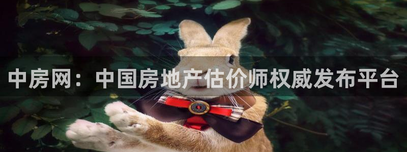 新宝股东王听2 5 5：中房网：中国房地产估价师权威发布平台