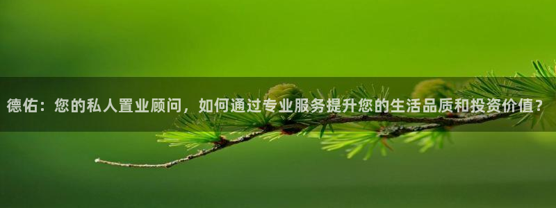 新宝5后：德佑：您的私人置业顾问，如何通过专业服务提升您的生