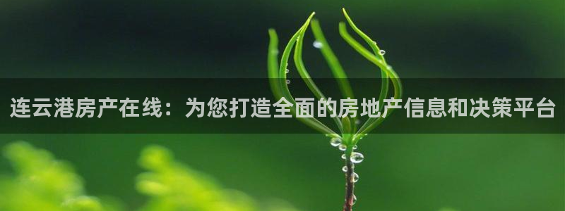 新宝5在哪里：连云港房产在线：为您打造全面的房地产信息和决策