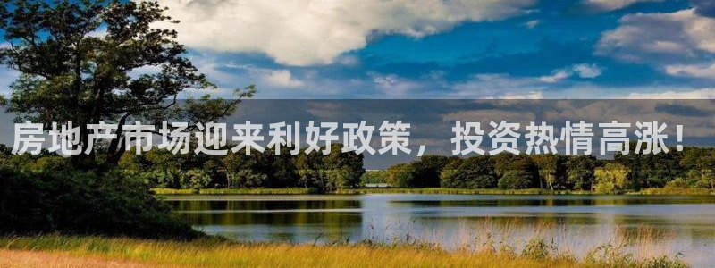 p5r新宝魔：房地产市场迎来利好政策，投资热情高涨！