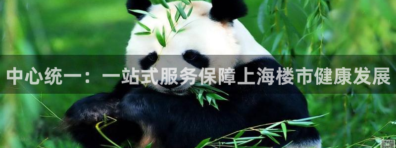 新宝5测登录：中心统一：一站式服务保障上海楼市健康发展