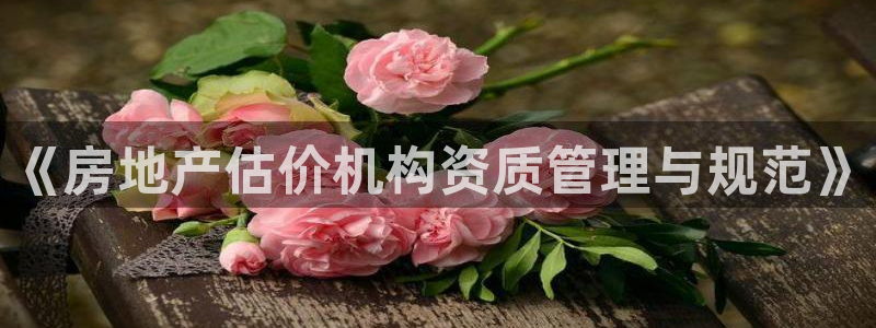 新宝5手机下载：《房地产估价机构资质管理与规范》