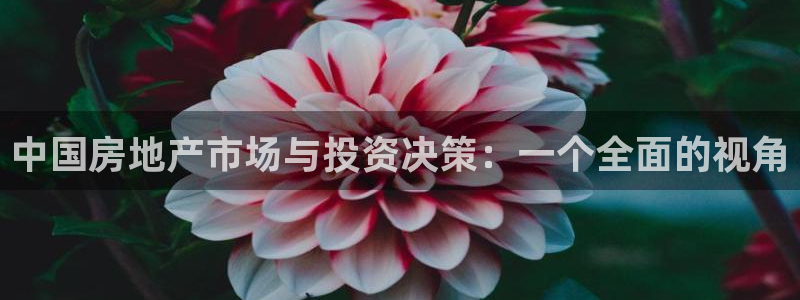 新宝5黑：中国房地产市场与投资决策：一个全面的视角