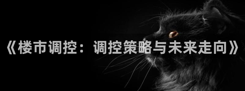 新宝5娱乐学：《楼市调控：调控策略与未来走向》