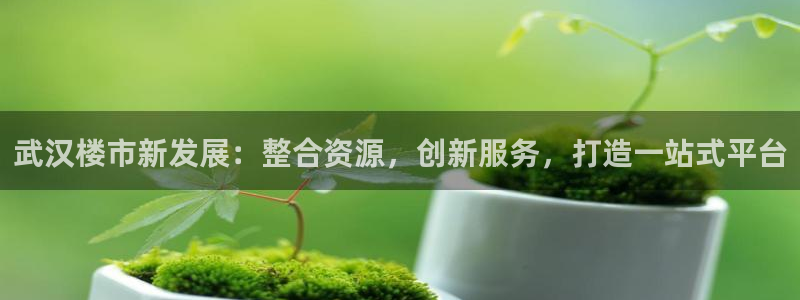 5新宝：武汉楼市新发展：整合资源，创新服务，打造一站式平台