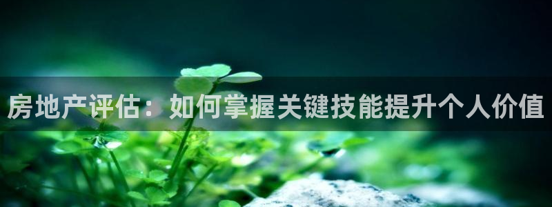 新宝5彩票平台登陆：房地产评估：如何掌握关键技能提升个人价值