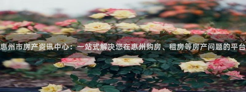 新宝股东张听2 5 5